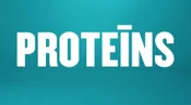 PROTEĪNS